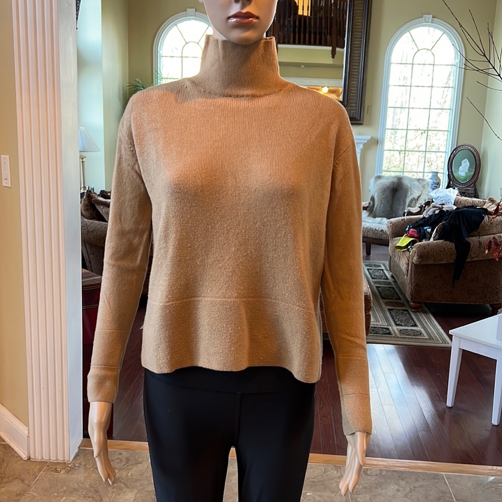 Everlane Camel Turtleneck Sweater